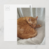 Sleepy Ginger Kitty ポストカード (正面/裏面)