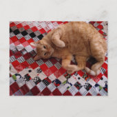 Sleepy Ginger Kitty on a red quilt ポストカード (正面)