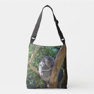Sleepy Koala in Tree Photo クロスボディバッグ