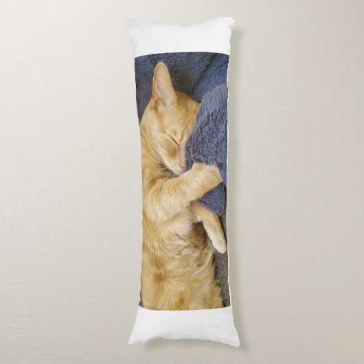 Sleepy Orange Cat Body Pillow ボディピロー (正面縦)