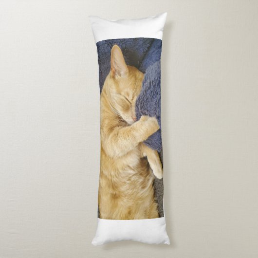 Sleepy Orange Cat Body Pillow ボディピロー (裏面 (縦))