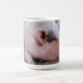 Sleepy Pig Mug コーヒーマグカップ (中央)