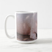 Sleepy Pig Mug コーヒーマグカップ (左)