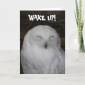 Sleepy White Owl Photo Funny Birthday Card カード (正面)