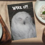 Sleepy White Owl Photo Funny Birthday Card カード<br><div class="desc">Get someone's attention on their birthday with this funny greeting card featuring the photo image of a sleepy,  white Snowy Owl. Select from matte or glossy style card.</div>