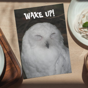 Sleepy White Owl Photo Funny Birthday Card カード