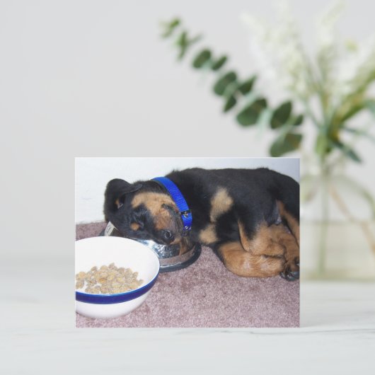 sleepyhead rottweiler. ポストカード (スタンド正面)