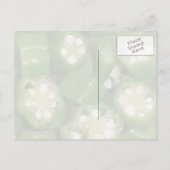 Sliced Okra Postcard ポストカード (裏面)