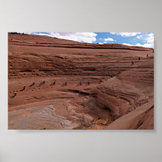 slicrock配列 ポスター