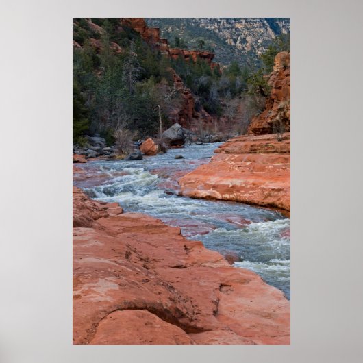 Slide Rock inセドナ, AZ 3590 ポスター (正面)