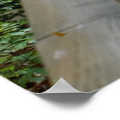 Slightly Curved ポスター (角)