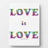 Slipperyジョーの愛は愛スプレー絵を描ゲイプライドc フォトプラーク (正面)