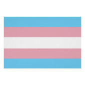 SlipperyJoeのトランスジェンダープライドフラグの可視性di ポスター (正面)