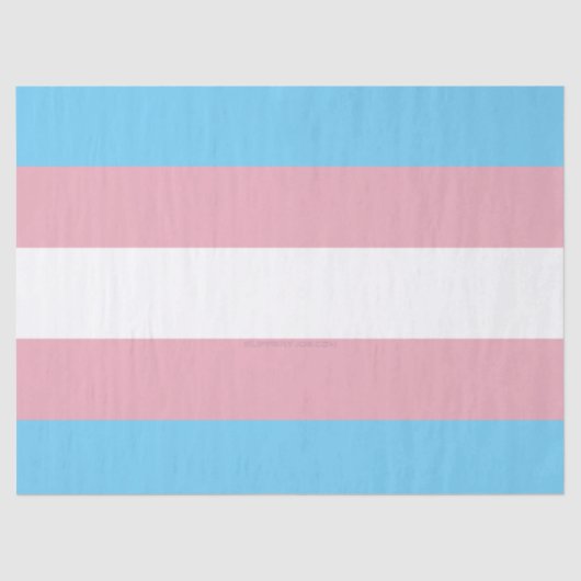 SlipperyJoeのトランスジェンダープライドフラグの視認性 薄葉紙 (正面)