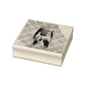 SlipperyJoeの男性の下着6パック胸abs男性 ラバースタンプ (スタンプ)