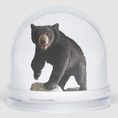 SlipperyJoeの黒いクマ厚い暗い毛威厳のあるr (正面)