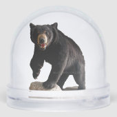 SlipperyJoeの黒いクマ厚い暗い毛威厳のあるr (裏面)