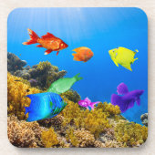 SlipperyJoe's Fishプライド熱帯青紫色 コースター (正面)