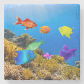 SlipperyJoe's Fishプライド熱帯青紫色 ストーンコースター (正面)