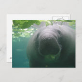 Sloppy Managerはがき ポストカード (正面/裏面)