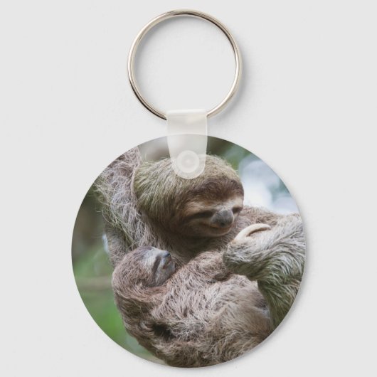 Slothベビーとぶら下がったMother's from a Tree キーホルダー (正面)