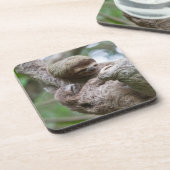 Slothベビーとぶら下がったMother's from a Tree コースター (左側)