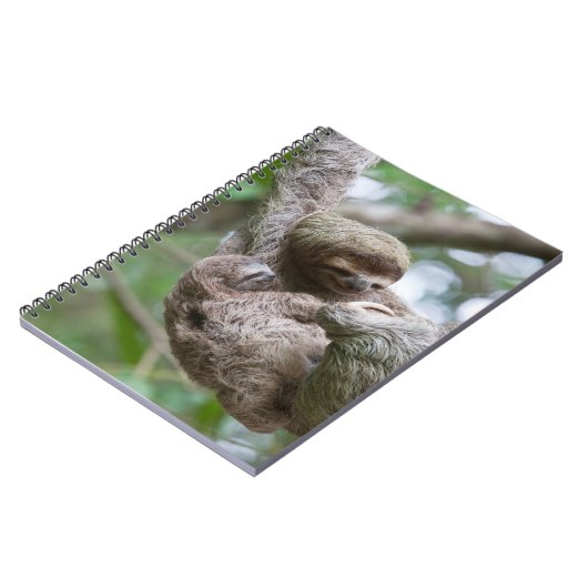 Slothベビーとぶら下がったMother's from a Tree ノートブック (左側)
