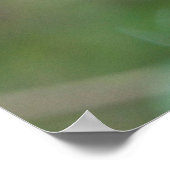 Slothベビーとぶら下がったMother's from a Tree ポスター (角)