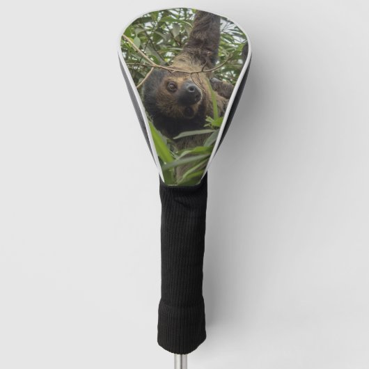 Sloth_2019001 ゴルフヘッドカバー (正面)