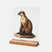 Sloth Antique Engraving Retro Graphic (2) アクリルサイン (傾斜)