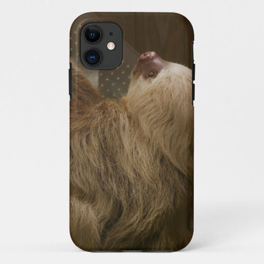 Sloth Case-Mate iPhoneケース iPhone 11 ケース (裏面)