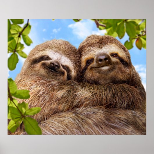 Sloth Couple ポスター (正面)