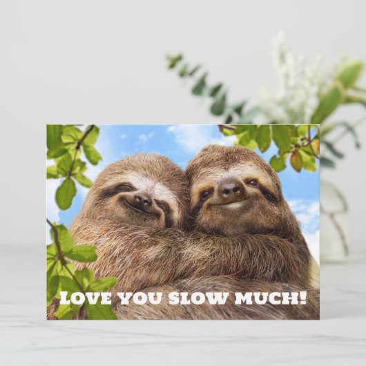Sloth Couple 招待状 (スタンド正面)