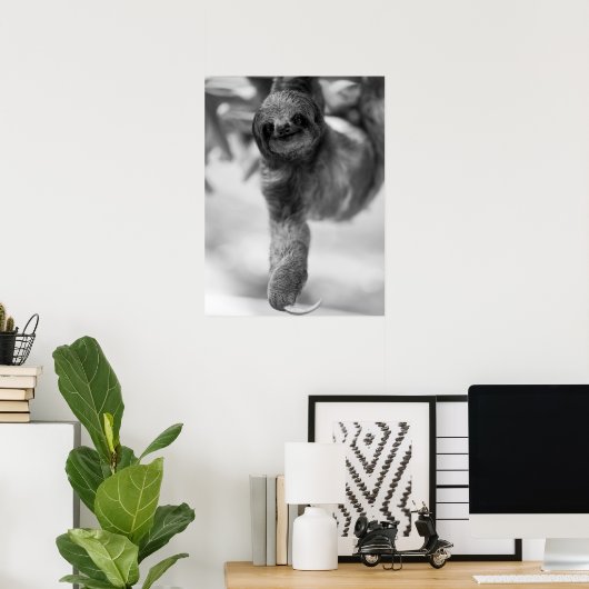 Sloth Hanging From Tree Branch Wildlife ポスター (ホームオフィス)