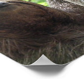 Sloth Photo Posterプリント ポスター (角)