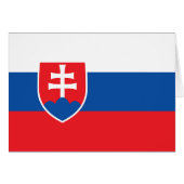 Slovakia Flag (正面横)
