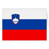 Slovenia Flag (正面横)