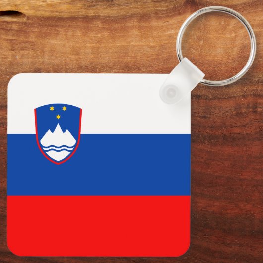 Slovenia Flag キーホルダー (裏面)