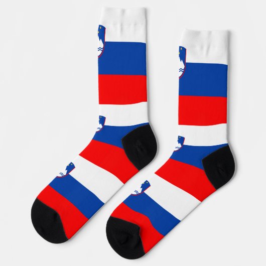 Slovenia Flag ソックス (左)