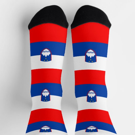 Slovenia Flag ソックス (上部)
