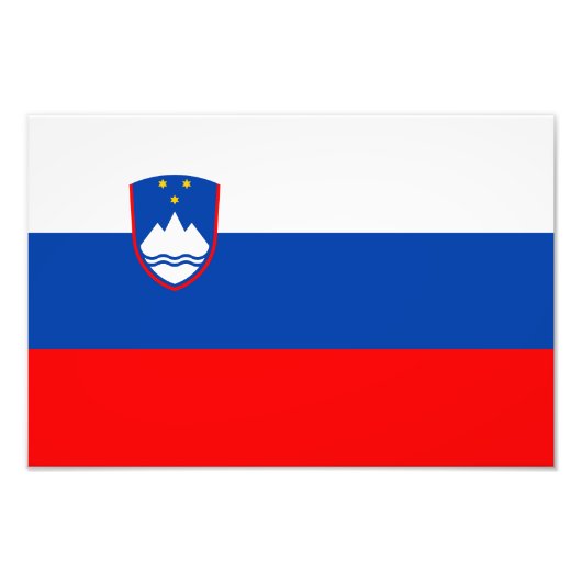 Slovenia Flag フォトプリント (正面)