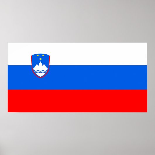 Slovenian Flag ポスター (正面)