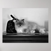 Slow Days, ポスター (正面)