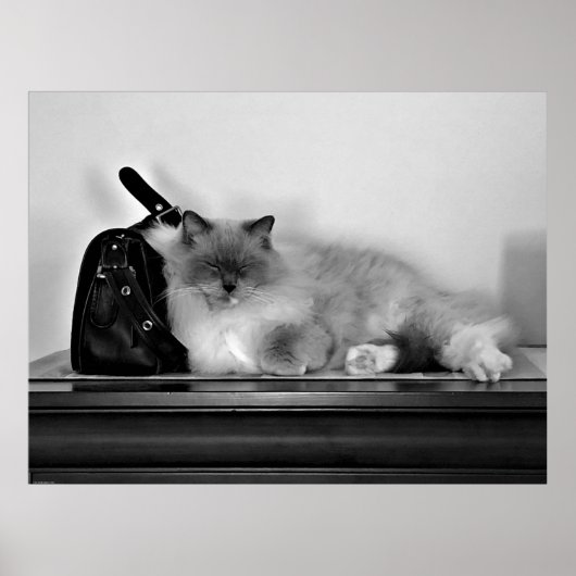 Slow Days, ポスター (正面)