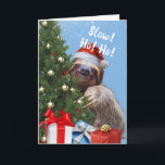 Slow Ho Cute Christmas Sloth in Santa Hat Card シーズンカード<br><div class="desc">クリスマスグリーティングカード。サンタ帽をかぶった可愛らしく愛らしいナマケモノがのまわりにクリスマスの木飾を覗き見る。遅い！ホー！ホー！文字の表紙と中リラックスの休みメッセージ。画像包まれたの下部にクリスマスプレゼント。アート、画像、詩の著作権© Shoaff Ballanger Studios,  2023.</div>