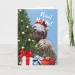 Slow Ho Cute Christmas Sloth in Santa Hat Card シーズンカード<br><div class="desc">クリスマスグリーティングカード。サンタ帽をかぶった可愛らしく愛らしいナマケモノがのまわりにクリスマスの木飾を覗き見る。遅い！ホー！ホー！文字の表紙と中リラックスの休みメッセージ。画像包まれたの下部にクリスマスプレゼント。アート、画像、詩の著作権© Shoaff Ballanger Studios,  2023.</div>