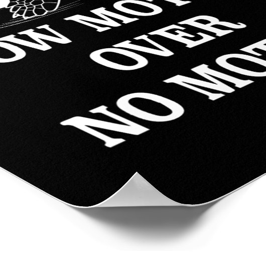 Slow Motion Over No Motion Turtle Meme 1  ポスター (角)