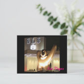 SLSラスベガス ポストカード (スタンド正面)