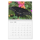 Smカレンダー – 東黒アゲハチョウ カレンダー (1月 2026)