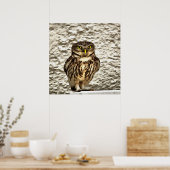 Small Brown Barn Owl Artistic Portrait ポスター (キッチン)